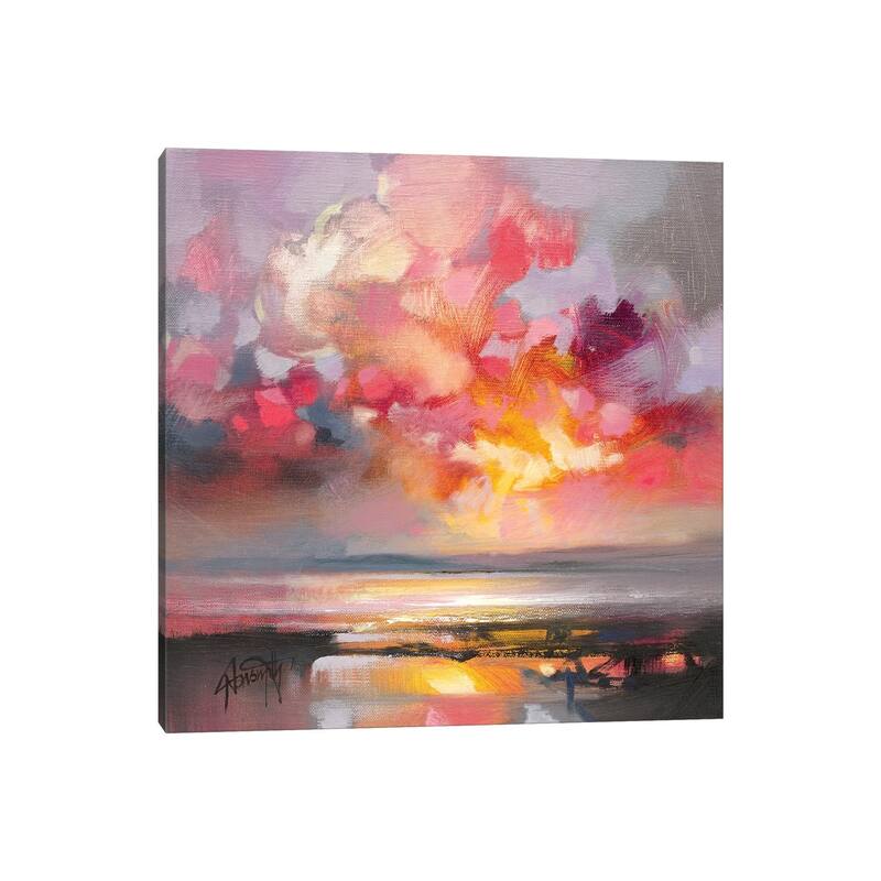 iCanvas "Rose Cumulus Study I" by Scott Naismith Canvas Print
