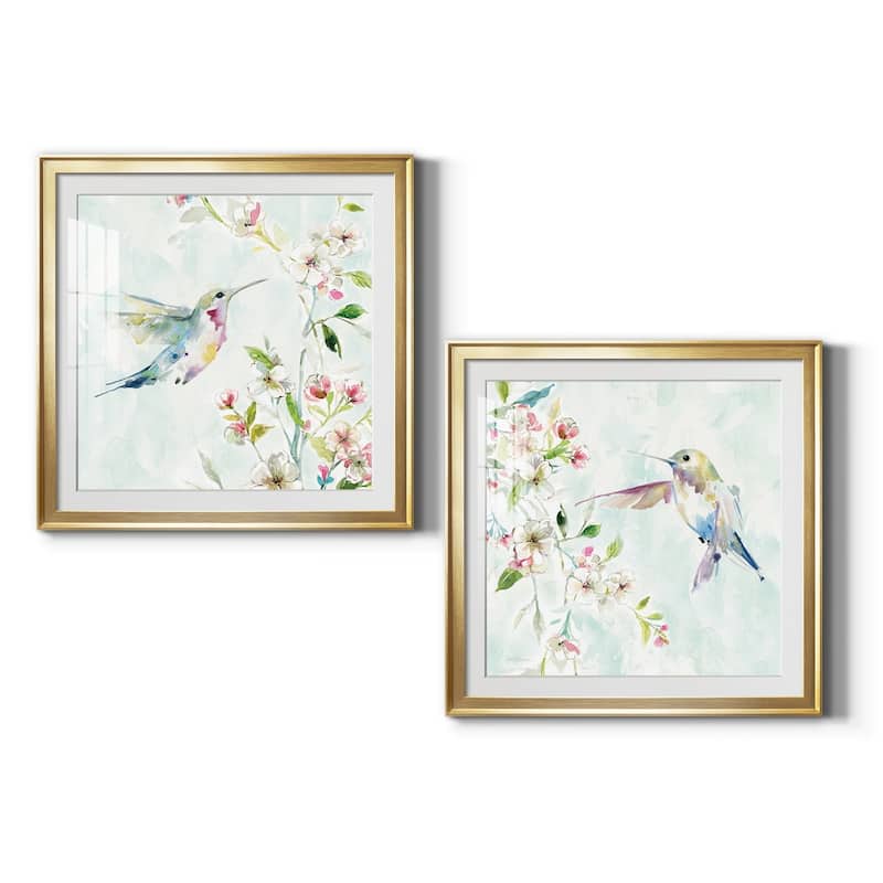 Hummingbird III Premium Framed Print - Ready to Hang