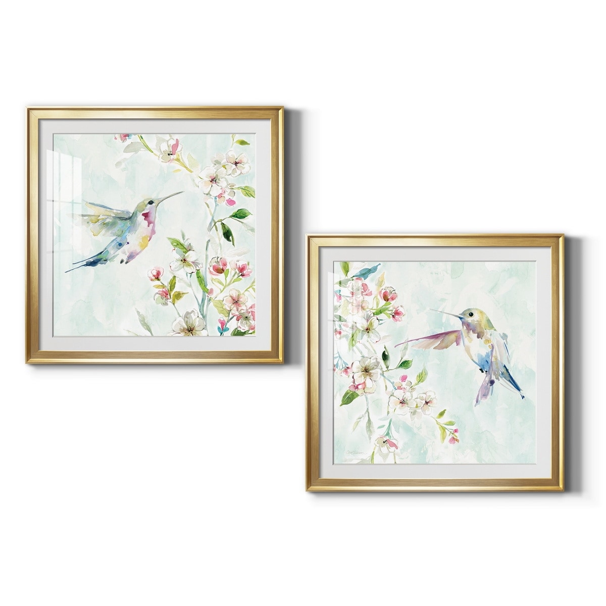 Hummingbird III Premium Framed Print - Ready to Hang