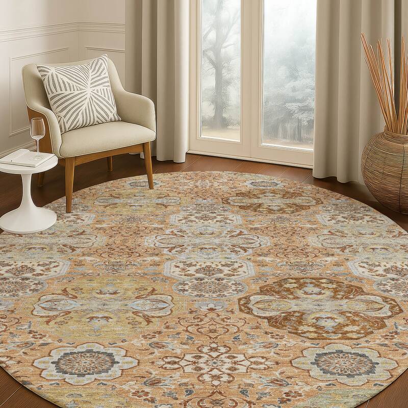 Machine Washable Indoor/ Outdoor Traditional Tracey Chantille Rug