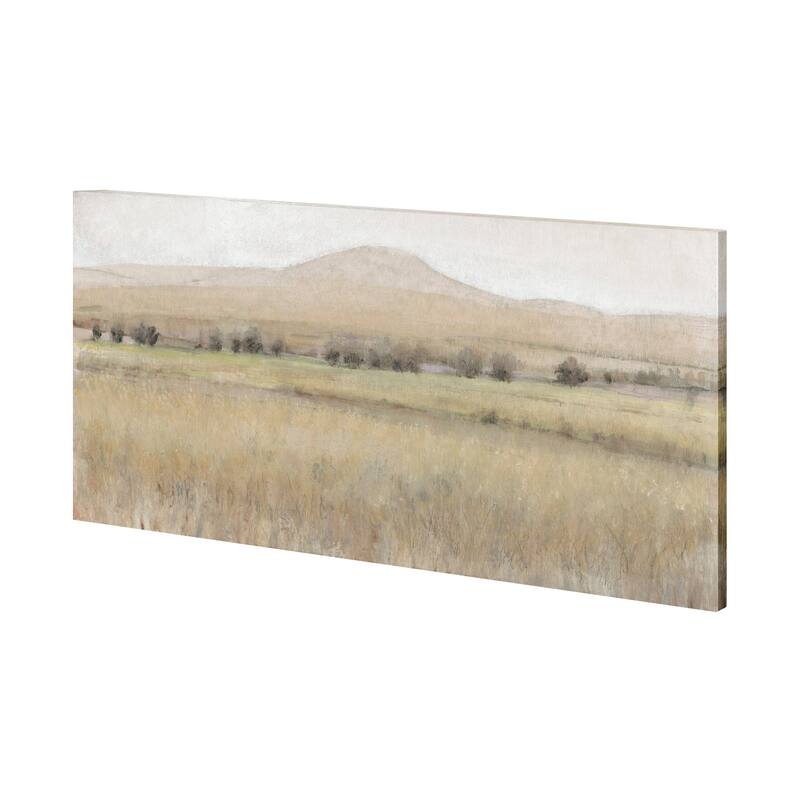 Dry Heat I (72 x 36) Canvas Art Print - Large