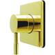 Option Polished Brass