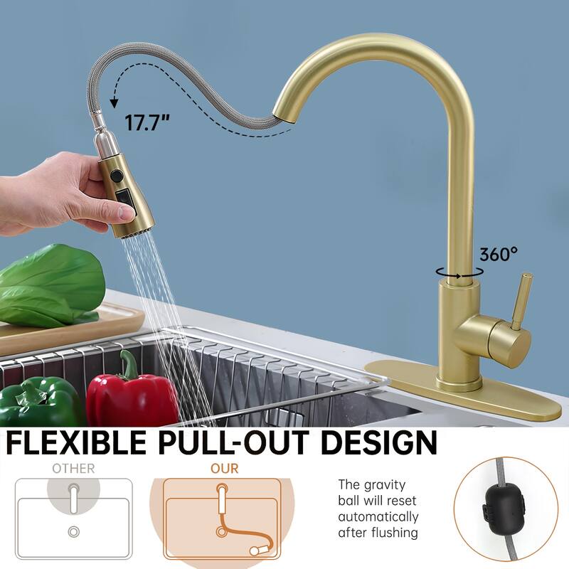 Topcraft Single Handle Pull-Out Stainless Steel Kitchen Faucet