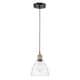 Option Clear / Black Antique Brass