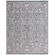 preview thumbnail 29 of 37, SAFAVIEH Vivaldi Anaelle Oriental Rug 8' x 10' - Light Blue/Ivory - Rectangle