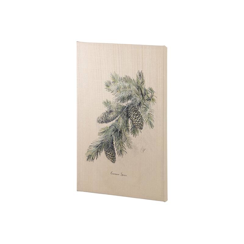 Evergreen collection IV (20 x 30) Canvas Art Print