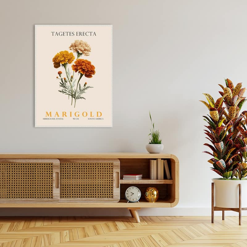 Vintage Botanical Marigold Illustration by Christopher Giampietro Framed Canvas Wall Art Print