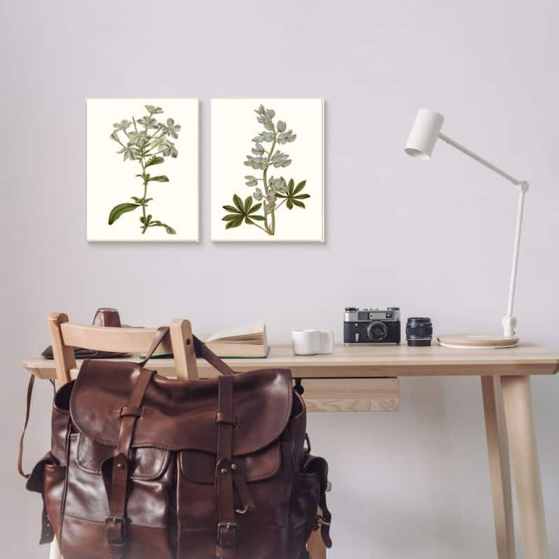 Stupell Vintage Illustrated Study of Blue Botanical Florals, 2pc Multi Piece Framed Wall Art Set