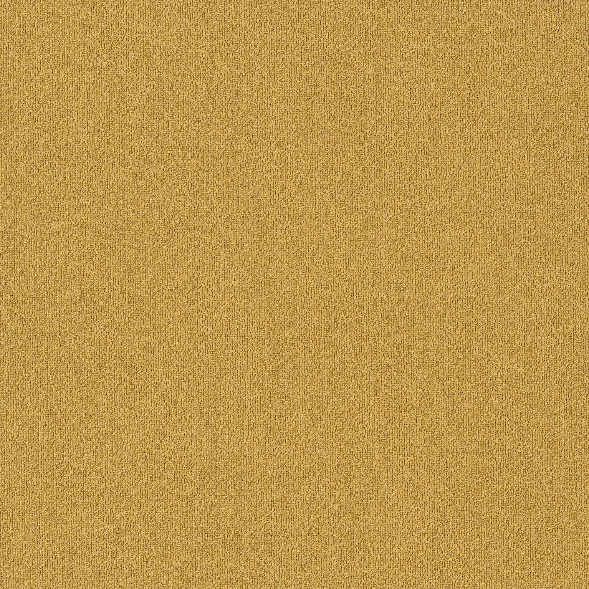 Shaw Philadelphia Commercial Color Accents TL 24" x 24" Glue Down