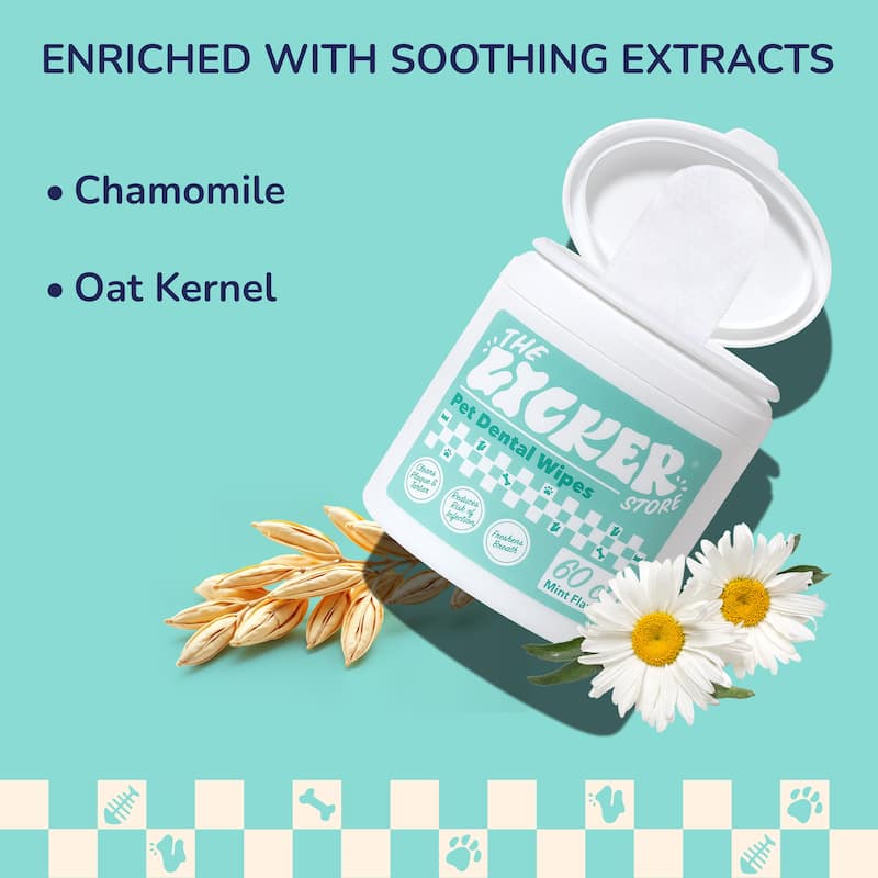 Dog Dental Finger Hypoallergenic Wipes with Extracts of Aloe Vera Leaf, Coconut Oil, Honey (60 Count) - 1-Pack - 60 Count