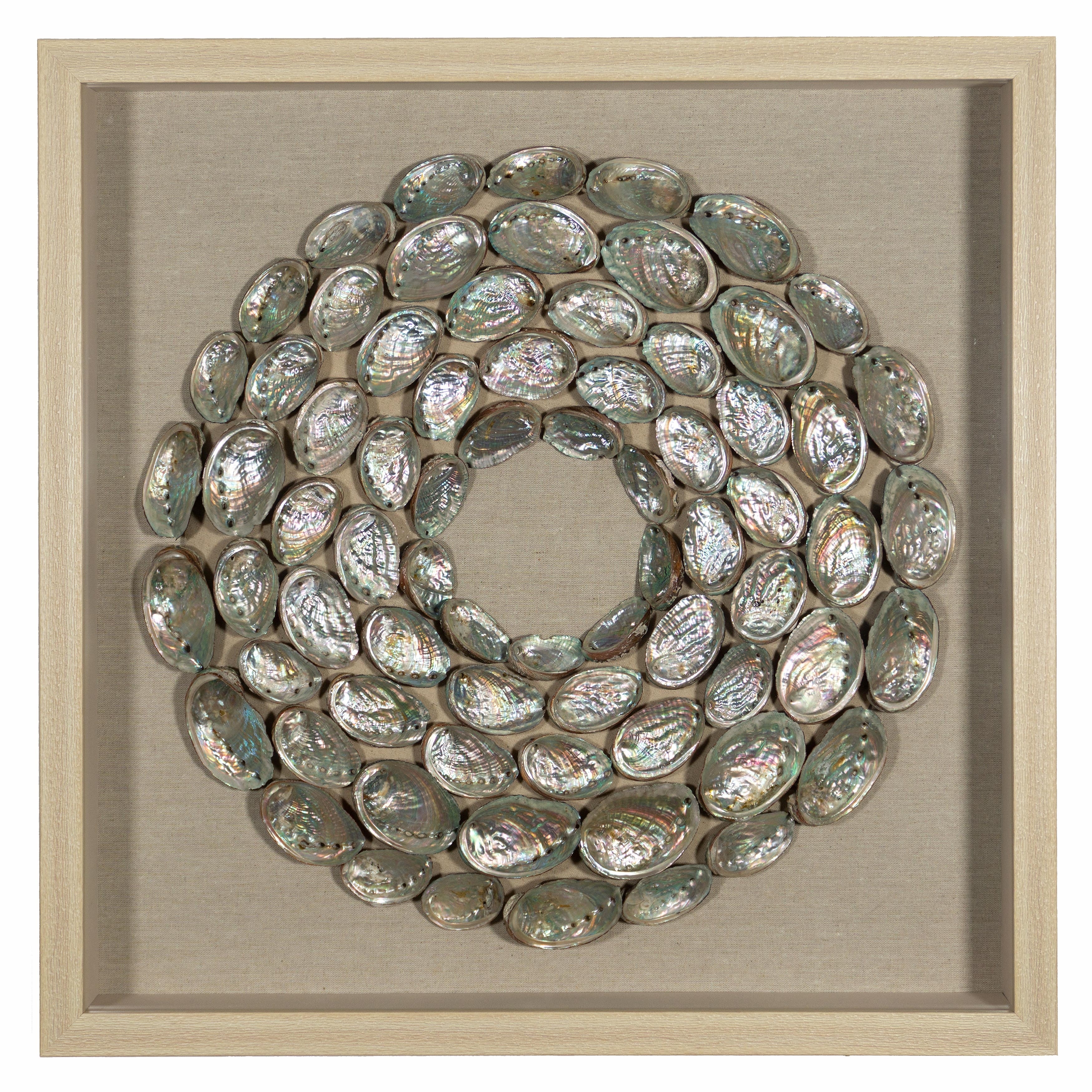 Abalone Shell Rings Shadow Box Wall Decor