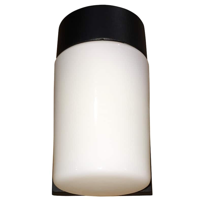 LED Light Wall Sconce