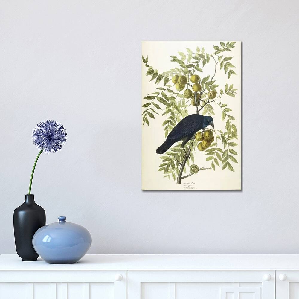 iCanvas "American Crow, 1833" by John James Audubon Canvas Print