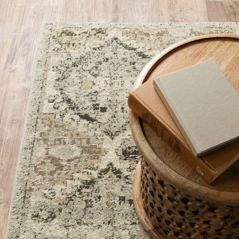 Vista Home Freya Vintage Trellis Area Rug