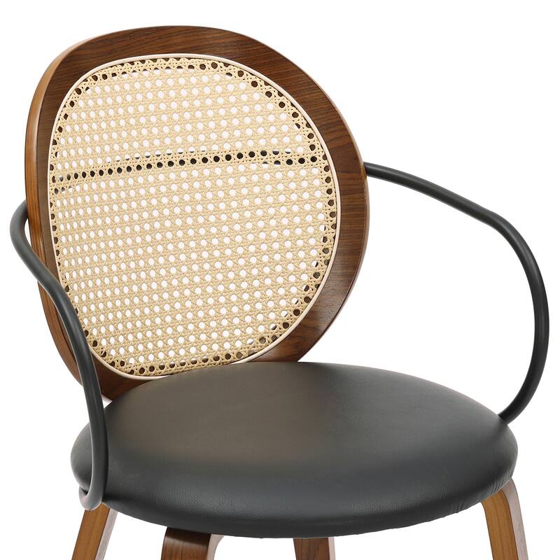 Modern Farmhouse Bentwood & Faux Rattan Dining Chair, Set of 2