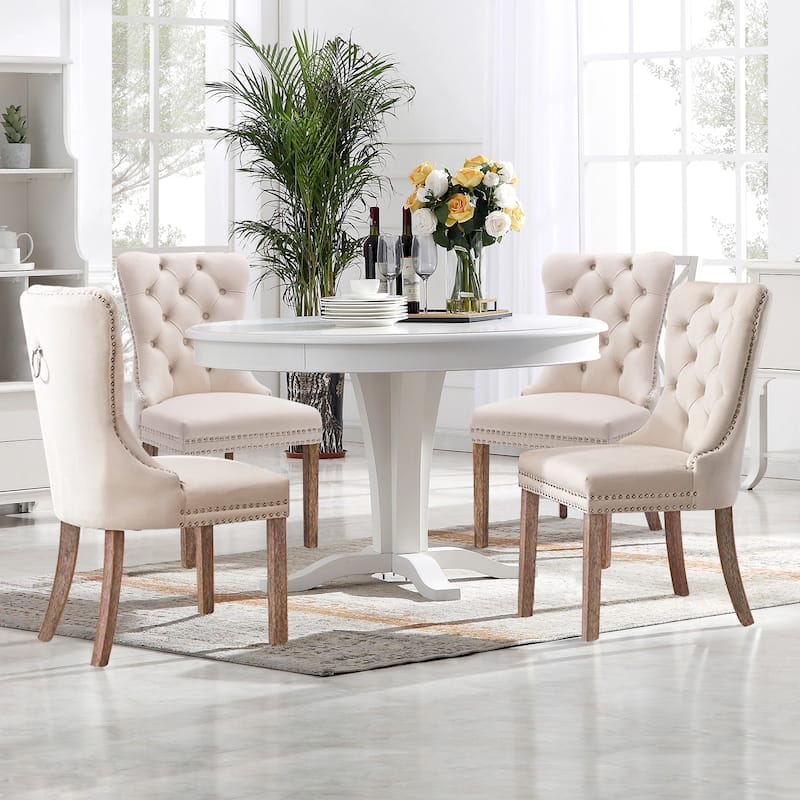 Set of 2 Modern Velvet Dining Chairs – Upholstered Side Chairs with Nailhead Trim and Solid Wood Legs for Kitchen & Dining Room