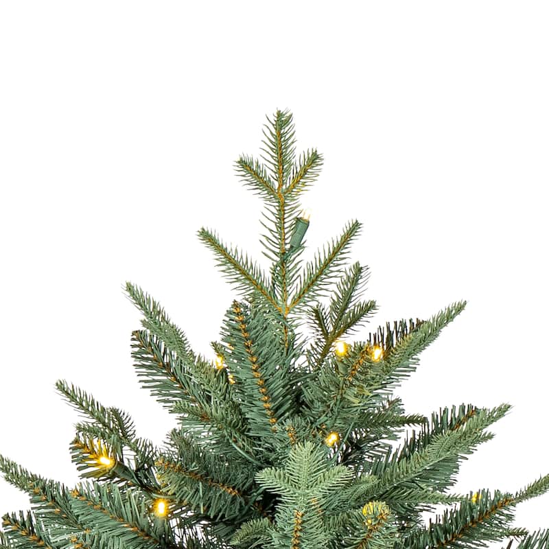 6.5 Foot Natural Cut Blue Spruce with 300 Warm White LED lights - N/A