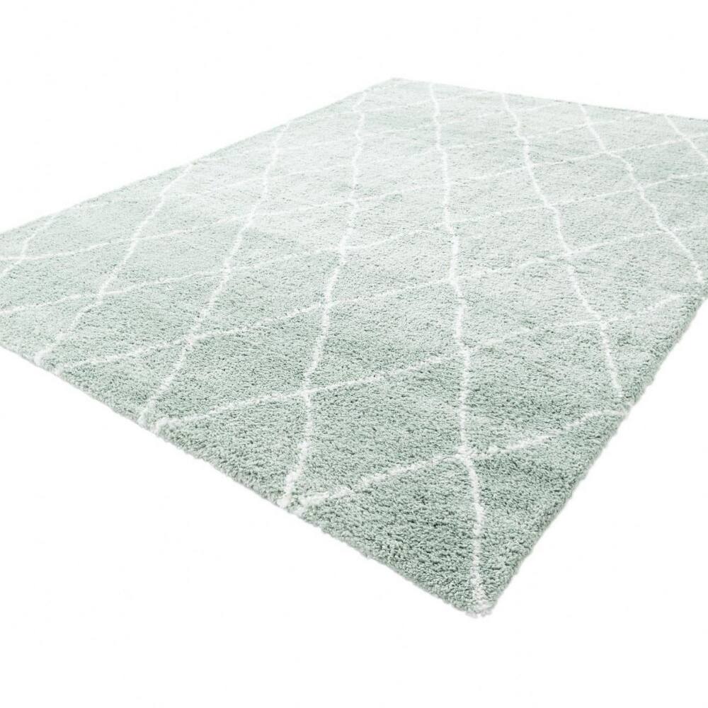 Shag Shoploni Collection Area Rug