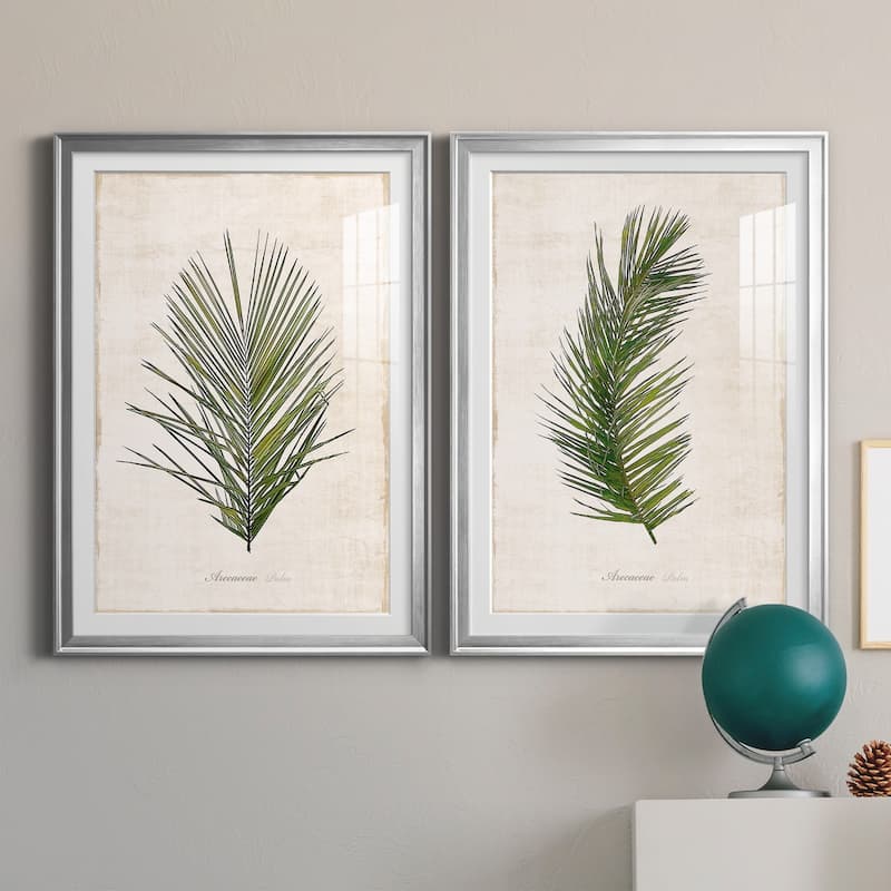 Palm Botanical I Premium Framed Print - Ready to Hang