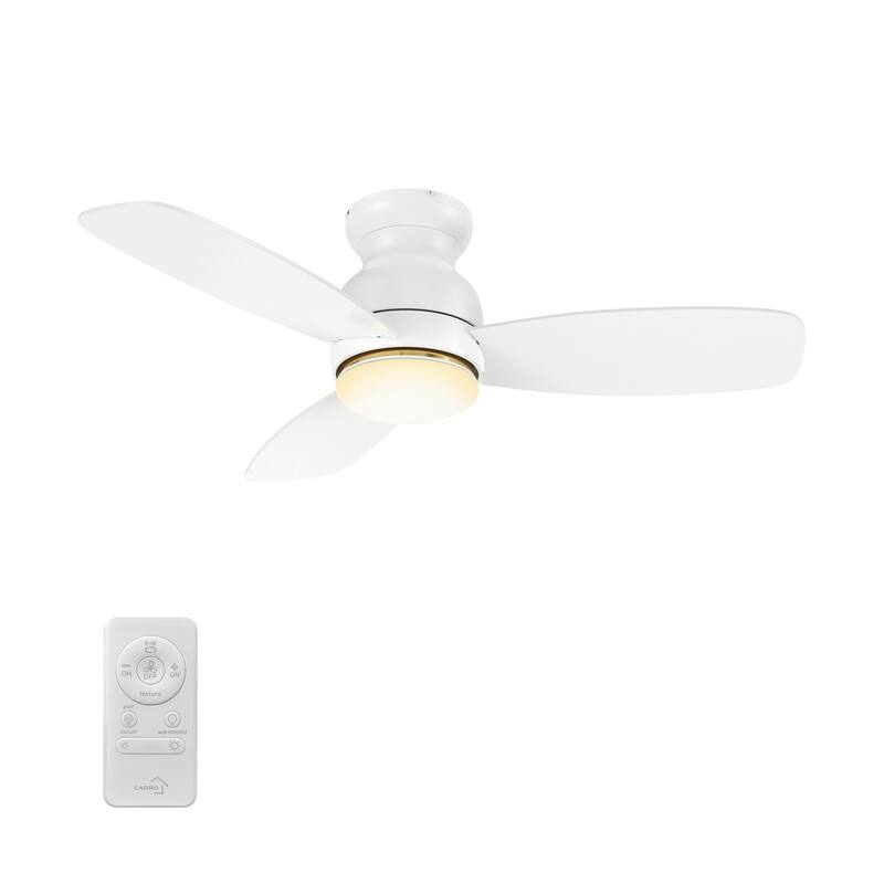 CARRO Reed 44" Indoor Ceiling Fan with Light and Remote - N/A - White