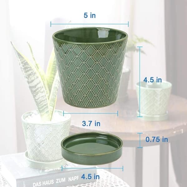 Flower Planter undefined5 inch Ceramic Plant Pots with Drainage Hole and  Ceramic Tray - Gardening Home Decoration - 8' x 10' - Bed Bath & Beyond -  34234878