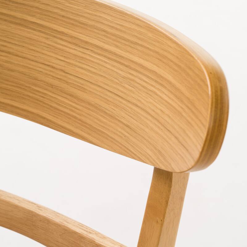 Idalia Mid-century Modern Dining Chairs (Set of 4) by Christopher Knight Home