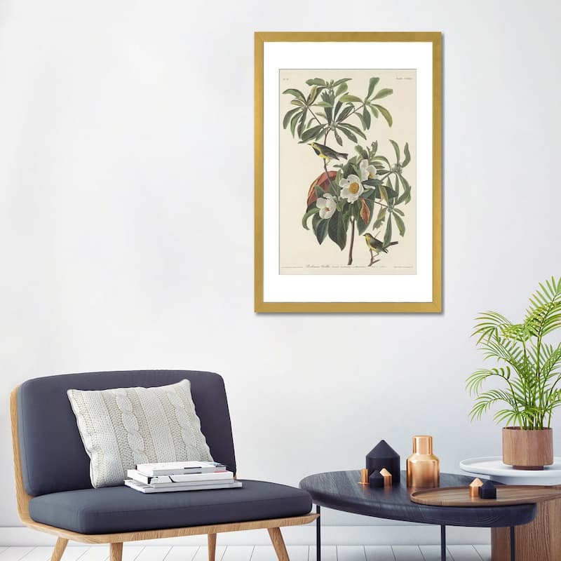 iCanvas "Bachman's Warbler & Franklinia" by John James Audubon