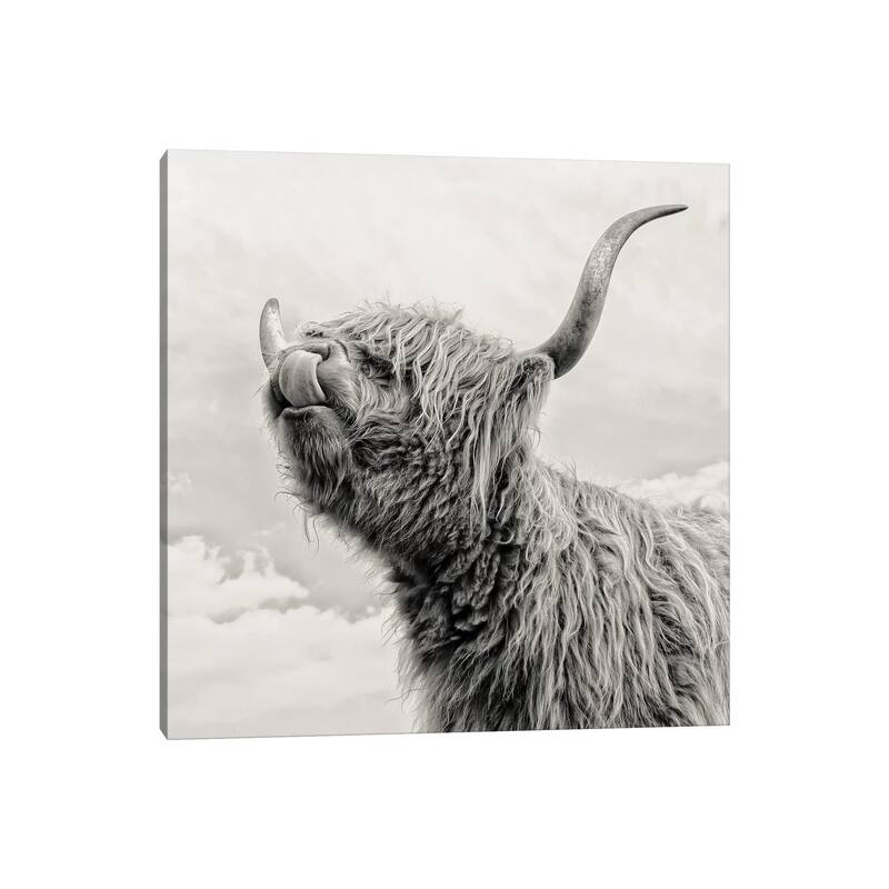 iCanvas "Spring Air I" by Mark Gemmell Canvas Print