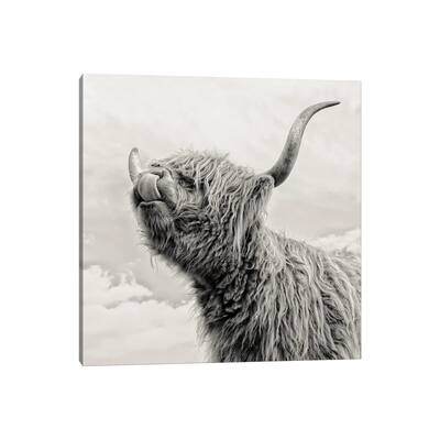 iCanvas "Spring Air I" by Mark Gemmell Canvas Print