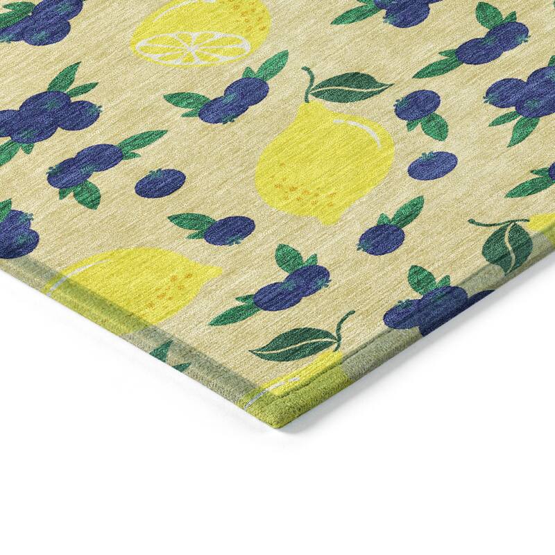 Machine Washable Indoor/ Outdoor Citrus Berry Chantille Rug