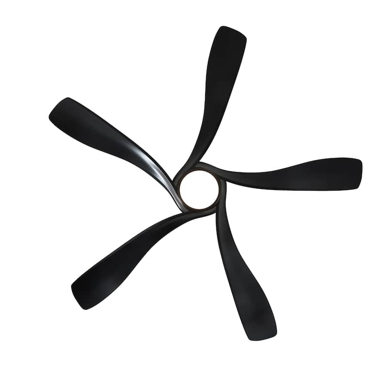 Fergus 5-Blade Lighted Ceiling Fan with LED Lamp with Remote
