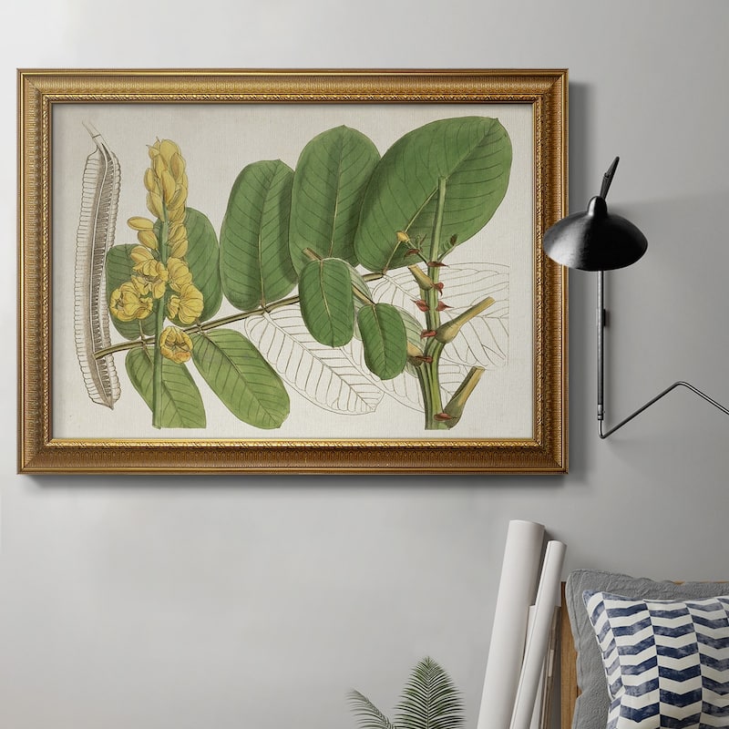 Tropical Foliage & Fruit II Premium Framed Canvas- Ready to Hang