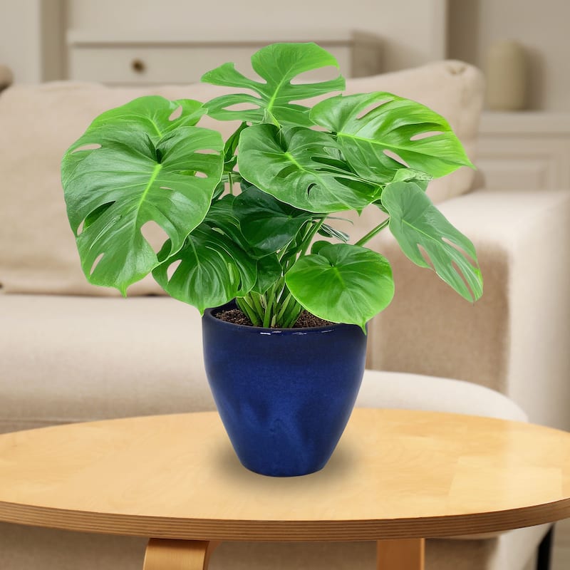 Sunnydaze Glazed Ceramic Planter with Drainage Holes - Set of 2