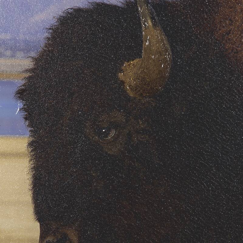 Antelope Island
