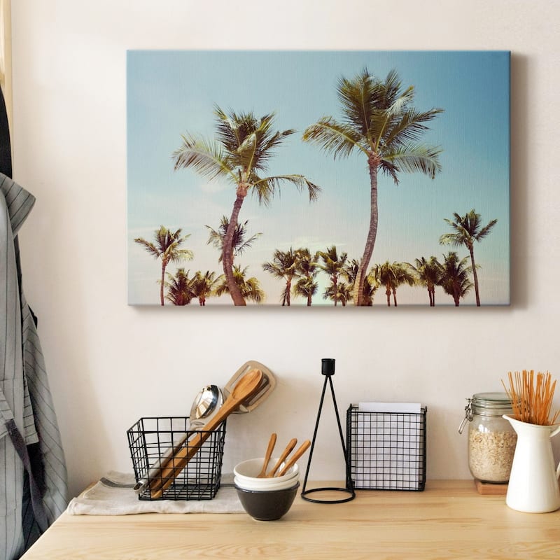 Aruba Palm Premium Gallery Wrapped Canvas - Ready to Hang