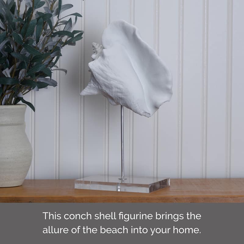Elements White Conch Seashell Figurine, 7X12 Inch