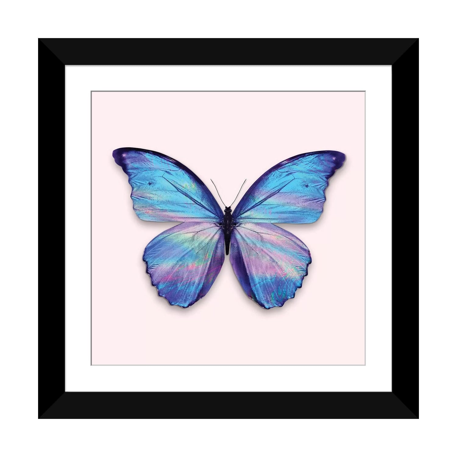 iCanvas "Holographic Butterfly" by Jonas Loose PFA