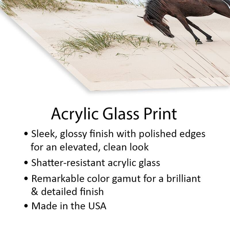 Lone Banker Horse On The Beach, Outer Banks, North Carolina, USA Print On Acrylic Glass by Michael DeFreitas