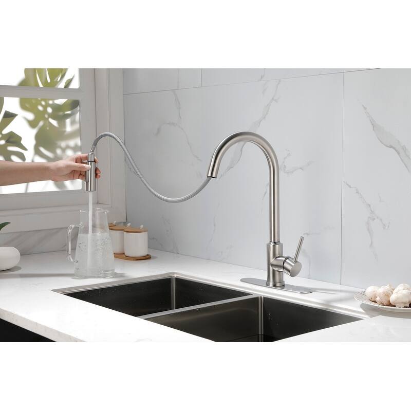 Kitchen Faucet with Pull Down Sprayer