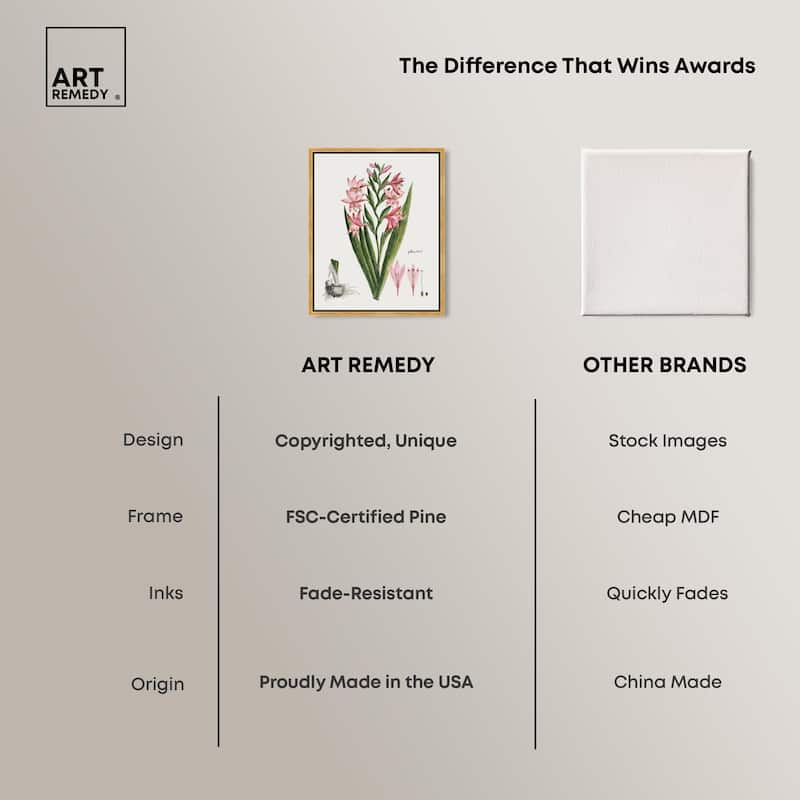 Gladiolus Carneus Canvas by Art Remedy