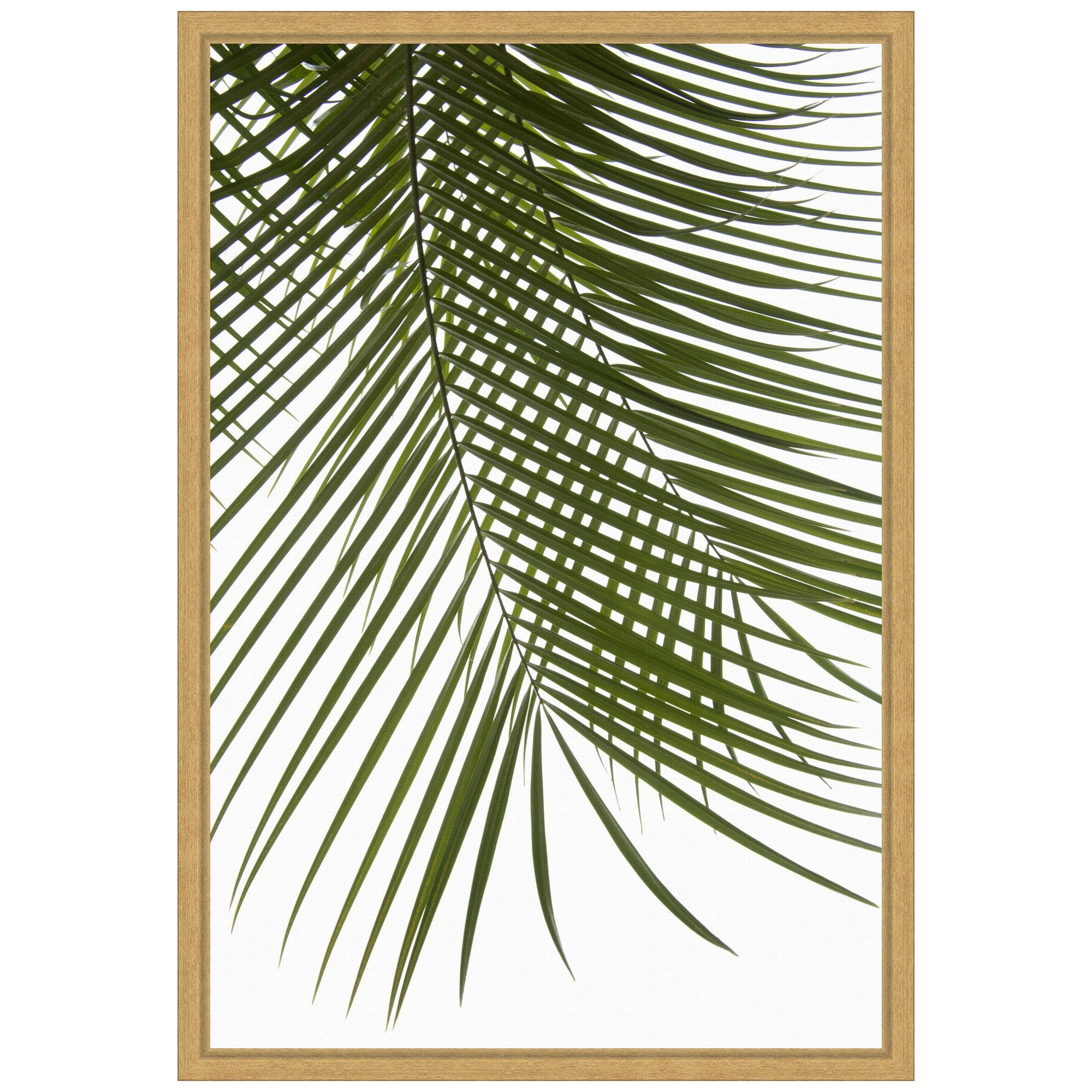 Palm Leaves Foliage Photo IV by Amini54 Framed Canvas Wall Art - Sylvie Bright Gold