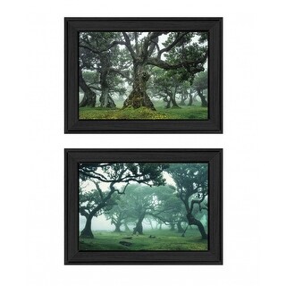 Set Of Two Enchanted Forest 2 Black Framed Print Wall Art - Bed Bath ...