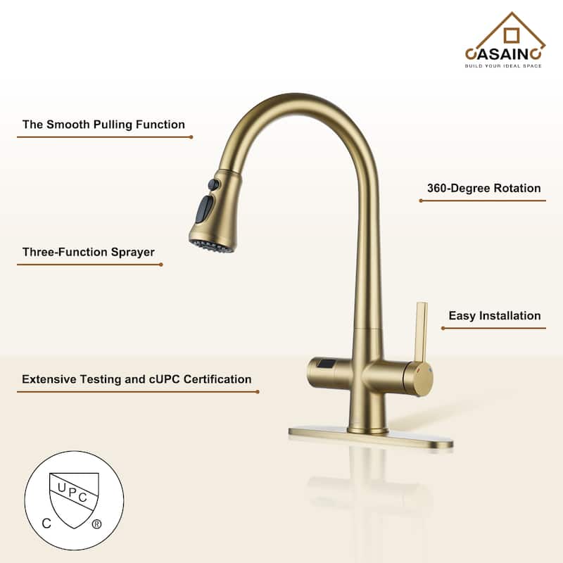 Single Handle Pull-Down Sprayer Kitchen Faucet