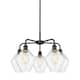 Option Oil Rubbed Bronze / Seedy