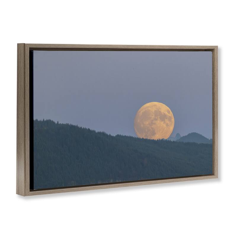 Stupell Majestic Moonrise Landscape Framed Floater Canvas Wall Art Design By Nancy Crowell