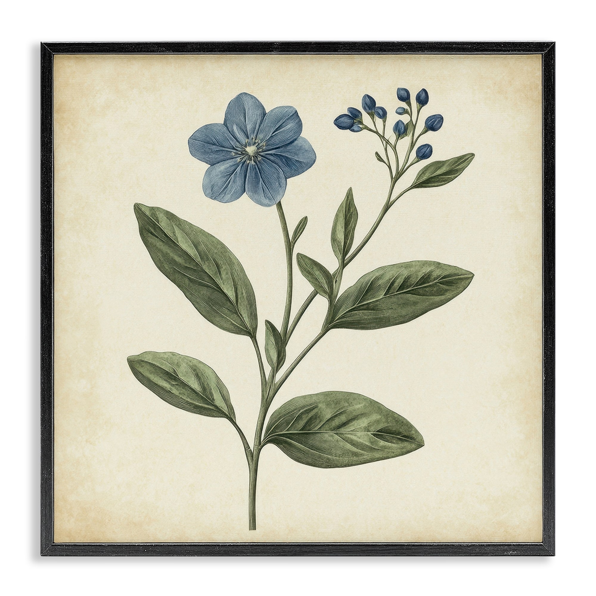 Stupell Vintage Blue Blossoms Wildflower Framed Giclee Art Design By Petal Prints Design