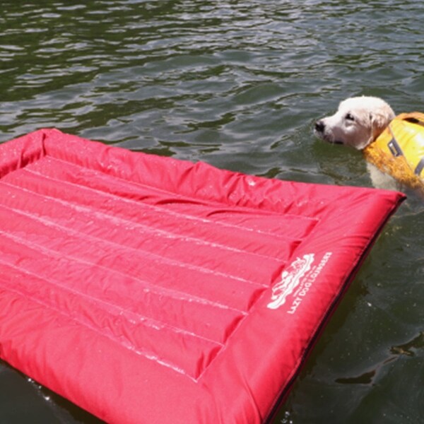 large dog float