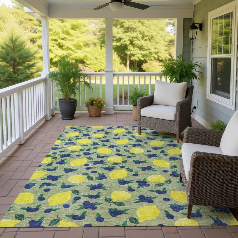 Machine Washable Indoor/ Outdoor Citrus Berry Chantille Rug