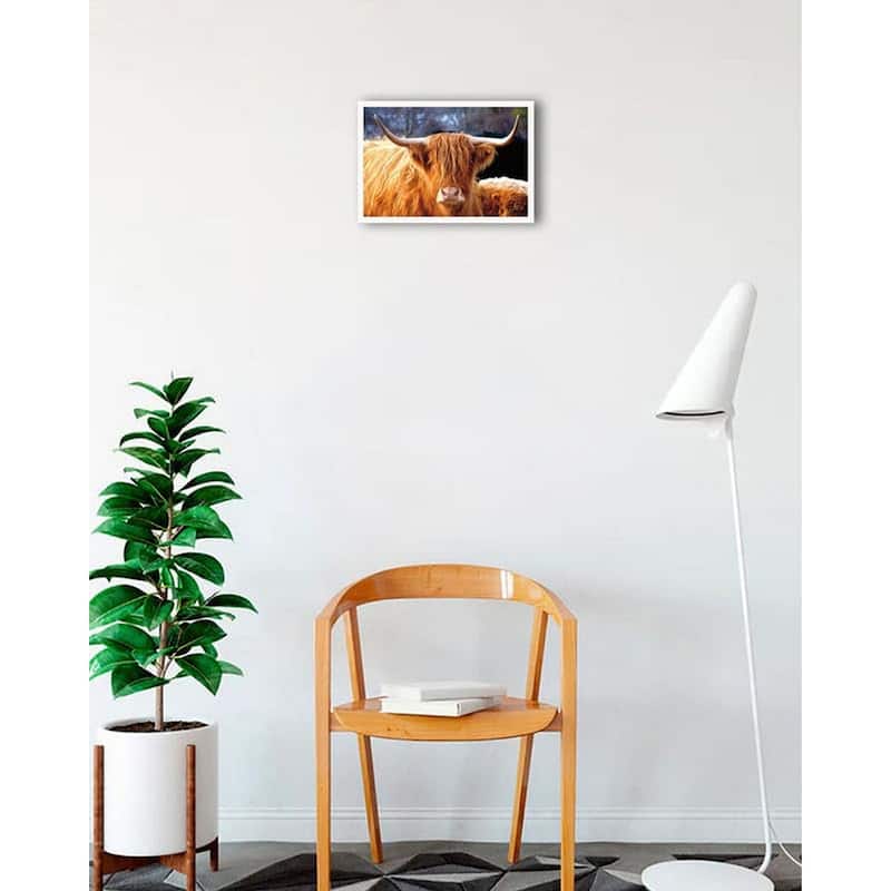 Highland Cow Sunshine Framed Poster - 12 x 18 Inch - White