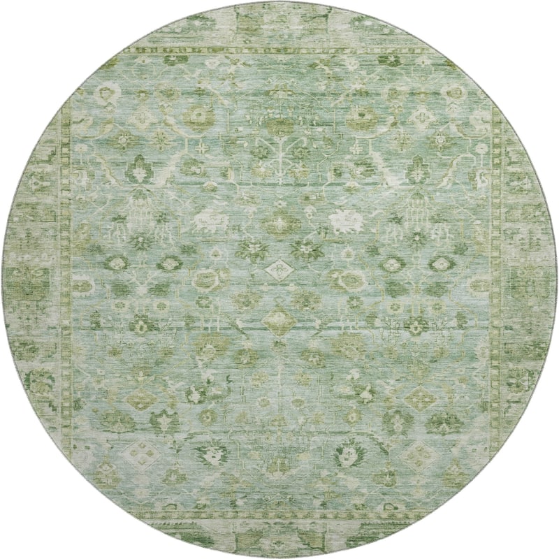 Premium Washable Super Soft Vintage Traditional Mayfield Rug